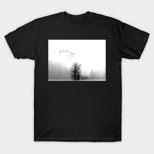 Take Me with You T-Shirt